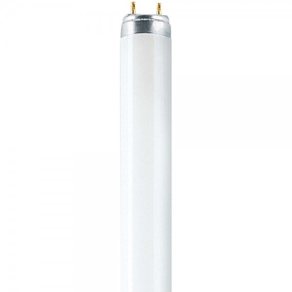 Osram LEDVANCE Leuchtstofflampe T8 L36W/830 Lumilux G13 1200mm