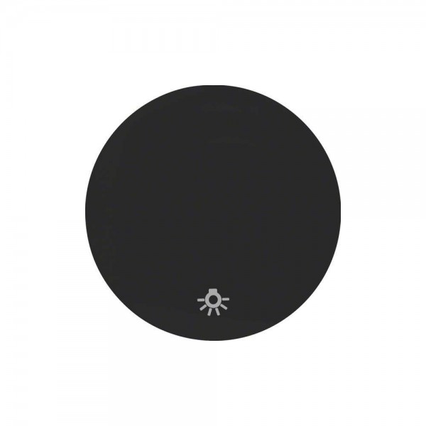 Berker 16202035 Wippe mit Aufdruck Symbol für Licht R.1/R.3 schwarz glänzend