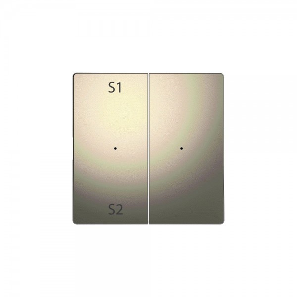 Merten MEG5226-6050 Wippe für Taster-Modul 2-fach (Szene1/2, blank) System Design nickelmetallic