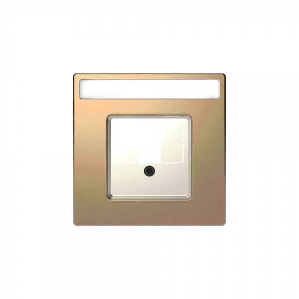 Merten MEG4250-6051 Zentralplatte mit rechteckigem Ausschnitt System Design champagnermetallic