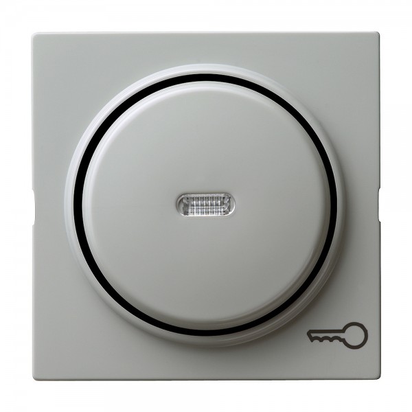 Gira 028742 Abdeckung mit Symbol Schlüssel und Wippe mit Kontrollfenster S-Color Grau