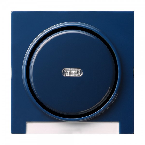 Gira 067046 Abdeckung und Wippe mit Kontrollfenster S-Color Blau