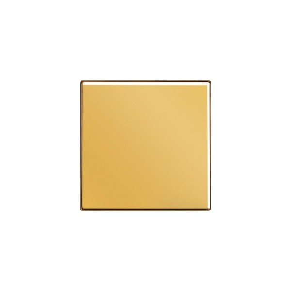 Jung GO2990 Wippe Schalter/Taster goldfarben