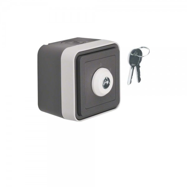 Berker 32723515 Jalousie-Schlüsselschalter mit Aufdruck AP W.1 grau/lichtgrau matt