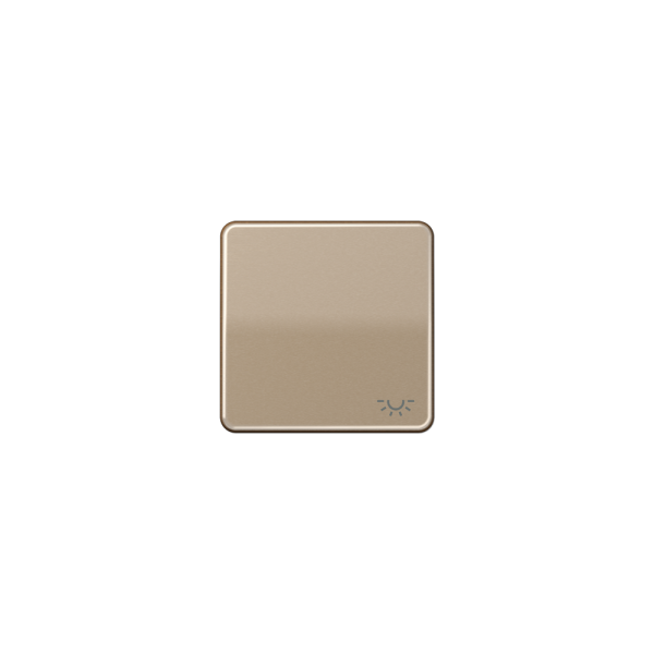Jung CD590LGB Wippe mit Symbol "Licht" gold-bronze