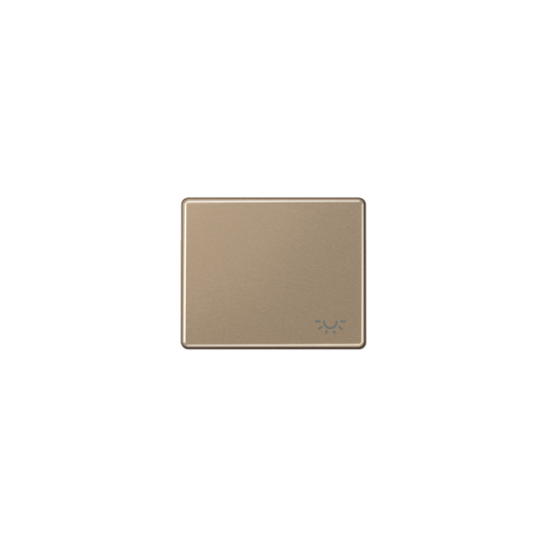 Jung SL590LGB Wippe mit Symbol Licht gold-bronze