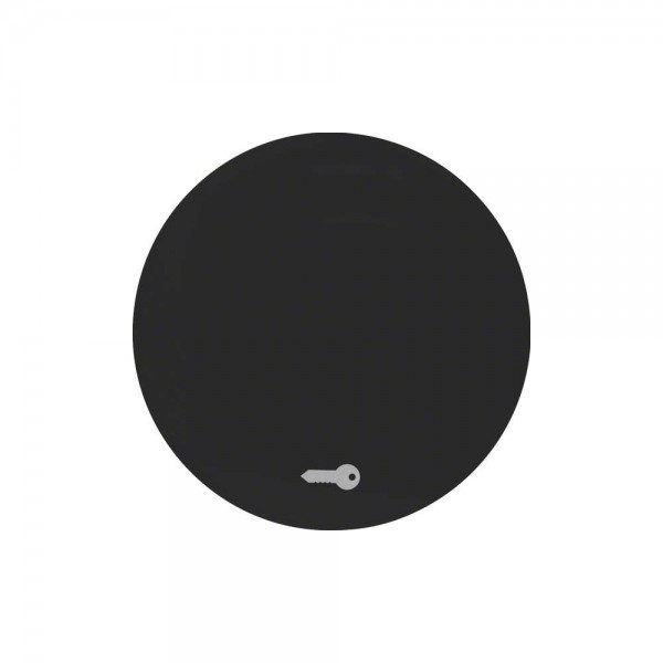 Berker 16202015 Wippe mit Aufdruck Symbol für Türöffner R.1/R.3 schwarz glänzend