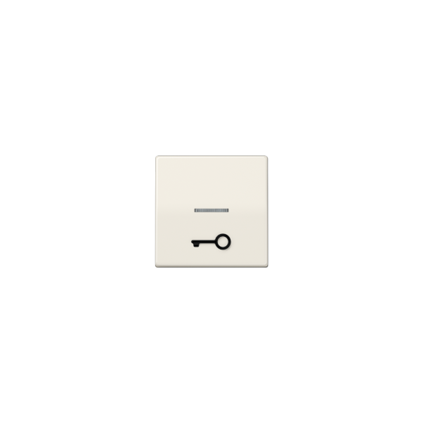 Jung AS591T1KO5 Wippe abtastbar Symbol Tür Serie AS cremeweiß