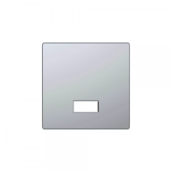 Merten MEG3350-6036 Wippe mit rechteckigem Symbolfenster System Design edelstahl