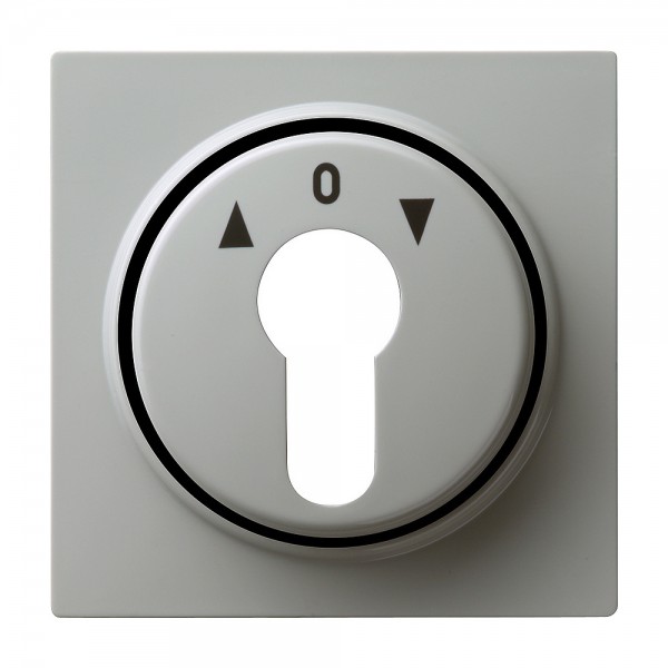 Gira 066442 Abdeckung für Schlüsselschalter S-Color Grau