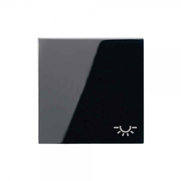 Jung A590LSW Wippe mit Symbol "Licht" Serie A schwarz glänzend