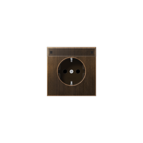 Jung ME1520KINAAT SCHUKO-Steckdose mit Schriftfeld Serie LS Messing antik
