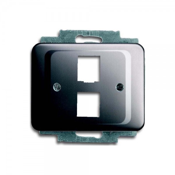 Busch Jaeger 2561-02-20 Zentralscheibe m. Tragring für 2 Modular-Jack-Einsätze alpha platin