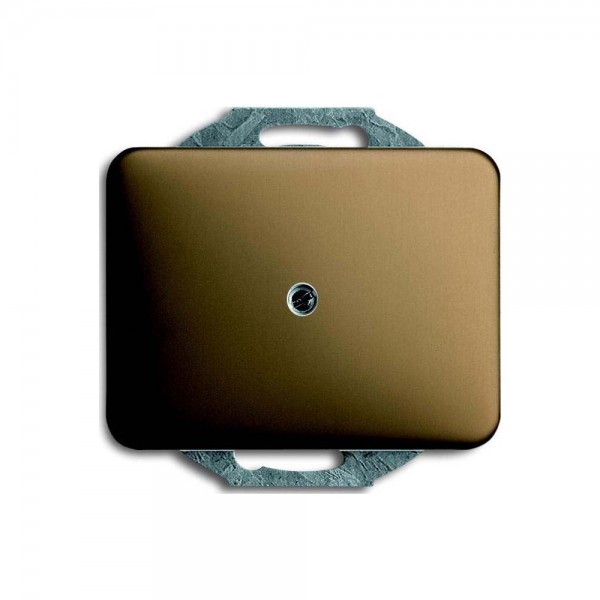 Busch Jaeger 1742-21 Blindzentralscheibe mit Tragring alpha bronze