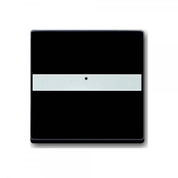 Busch Jaeger 1764NLI-885 Wippe mit Beschriftungsfeld schwarz matt