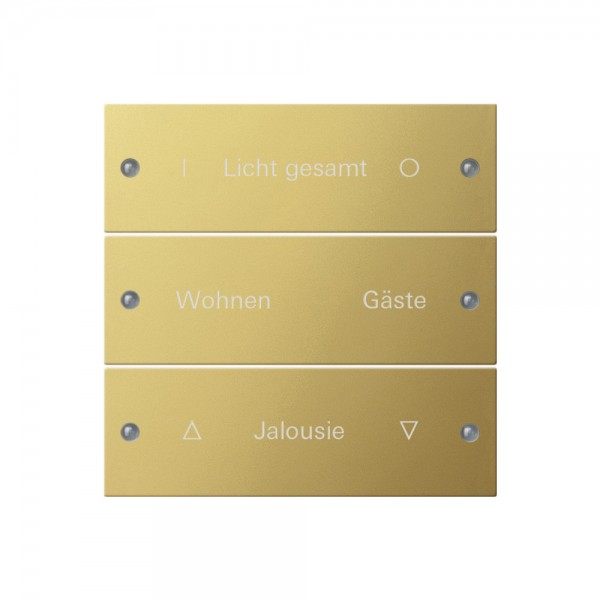 Gira 2133608 Wippenset 3-fach beschreibbar System 55 Messing