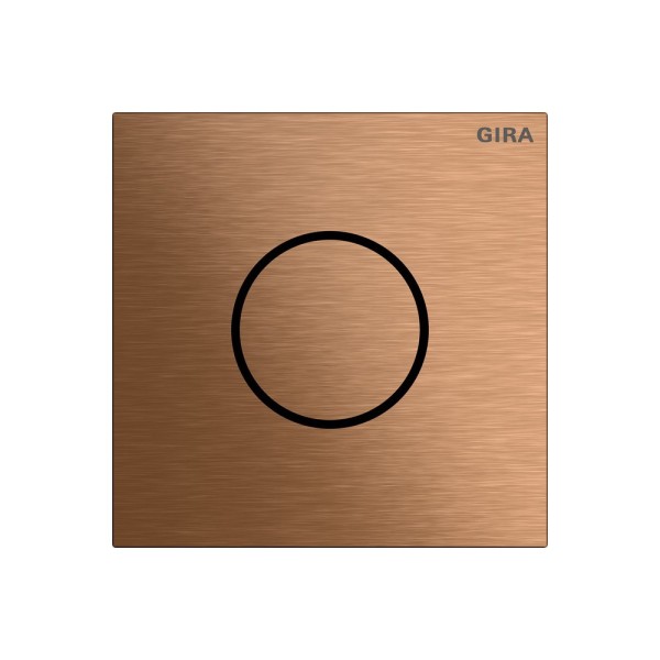 Gira 5563921 Sprachmodul System 106 Bronze