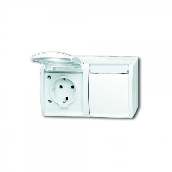 Busch Jaeger 20/2EWN-54 SCHUKO Steckdose 2-fach waagerecht ocean (IP 44) alpinweiß
