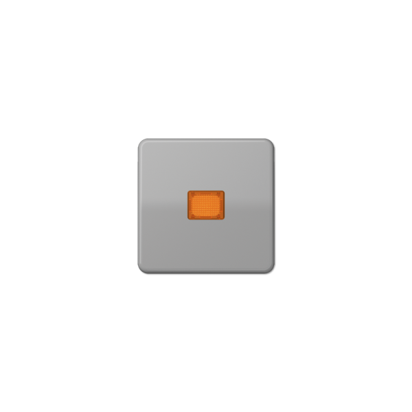 Jung CD590KOGR Wippe für Kontrollschalter/Taster orange Kalotte grau