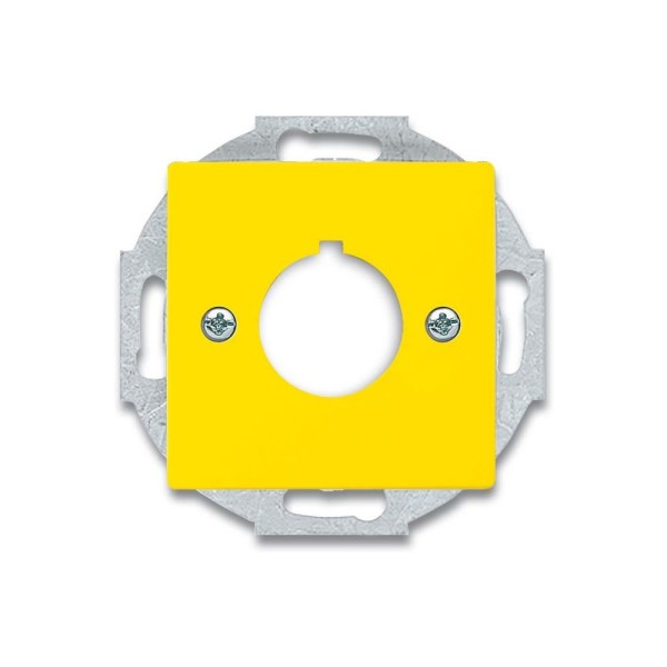 Busch-Jaeger 2533-82-15 Zentralscheibe mit Tragring gelb