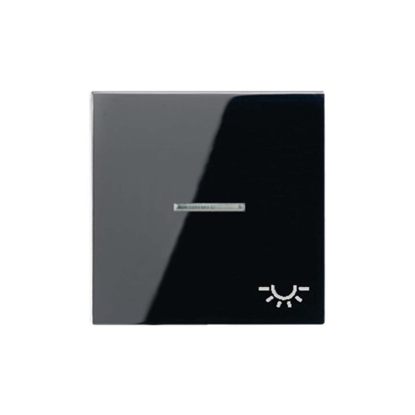 Jung A590KO5LSW Kontroll-Wippe mit Symbol Licht Serie A schwarz glänzend