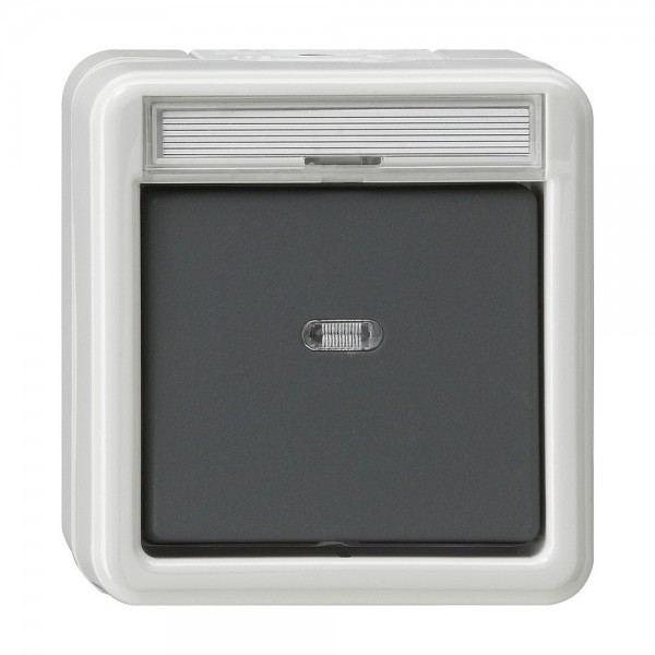 Gira 011230 Wipp-Kontrollschalter Ausschalter 2-polig Wassergeschützt Aufputz IP44 Grau