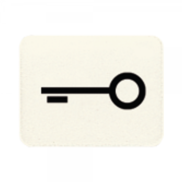 Jung 33T Symbol Tür cremeweiß