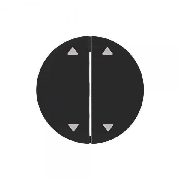 Berker 16442045 Wippe 2-fach mit Aufdruck Symbol Pfeil R.1/R.3 schwarz glänzend