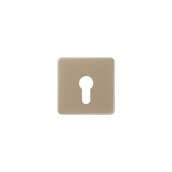 Jung CD525GB Abdeckung für Schlüsselschalter gold-bronze
