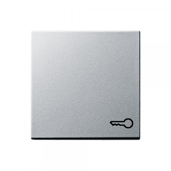 Gira 028726 Wippe mit Symbol Schlüssel System 55 Aluminium