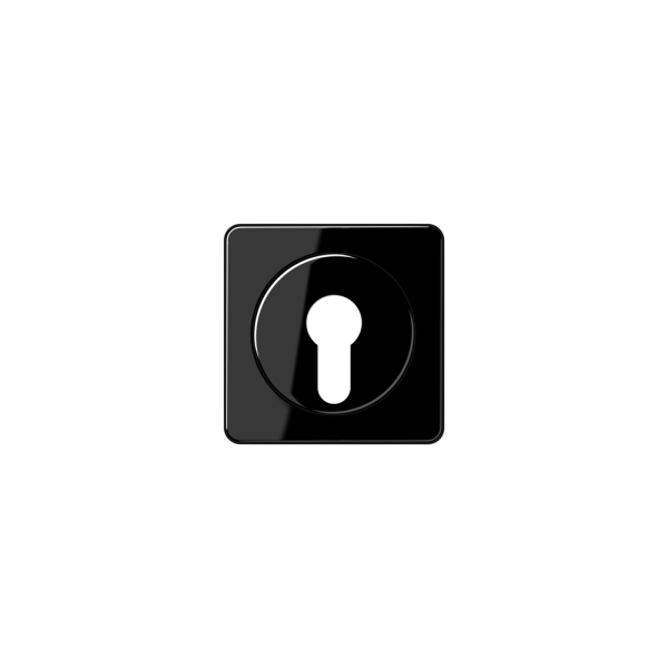 Jung CD528SW Abdeckung für Schlüsselschalter schwarz
