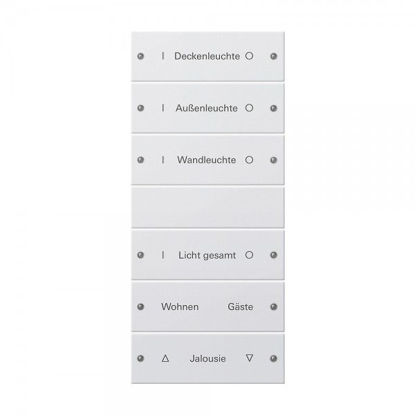 Gira 220603 Wippenset 6-fach (3+3) beschreibbar System 55 Reinweiß glänzend