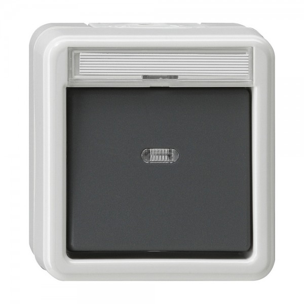 Gira 011630 Wipp-Kontrollschalter Aus- Wechselschalter Wassergeschützt Aufputz IP44 Grau
