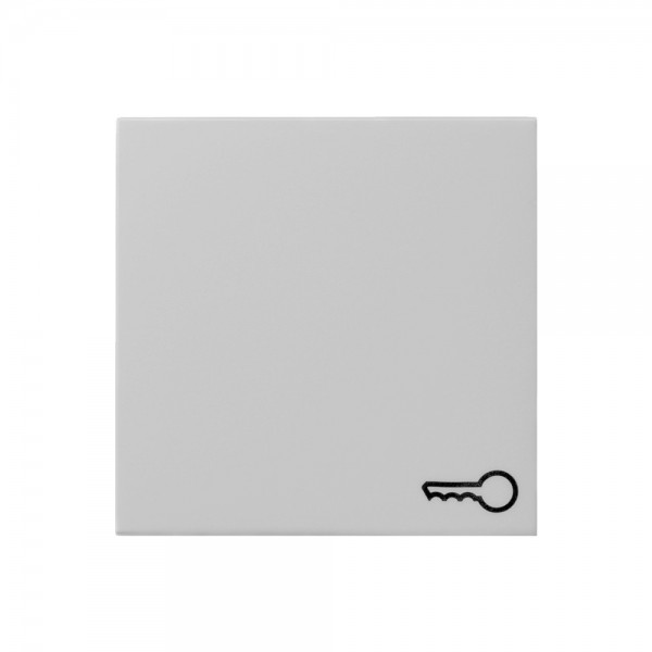 Gira 0287015 Wippe mit Symbol Schlüssel System 55 Grau matt