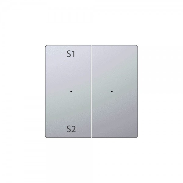 Merten MEG5226-6036 Wippe für Taster-Modul 2-fach (Szene1/2, blank) System Design edelstahl