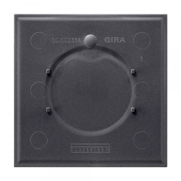 Gira 108300 Montageplatte für Namens- bzw. Türschild 1-fach für Event Schwarz