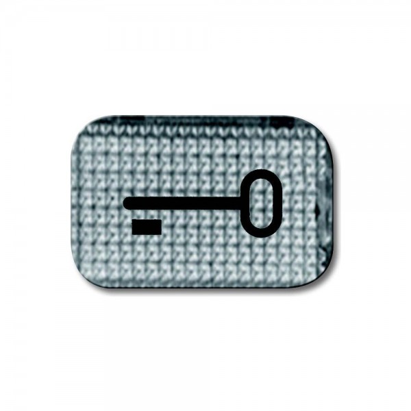 Busch Jaeger 2145TR Tastersymbol transparent Symbol Schlüssel glasklar