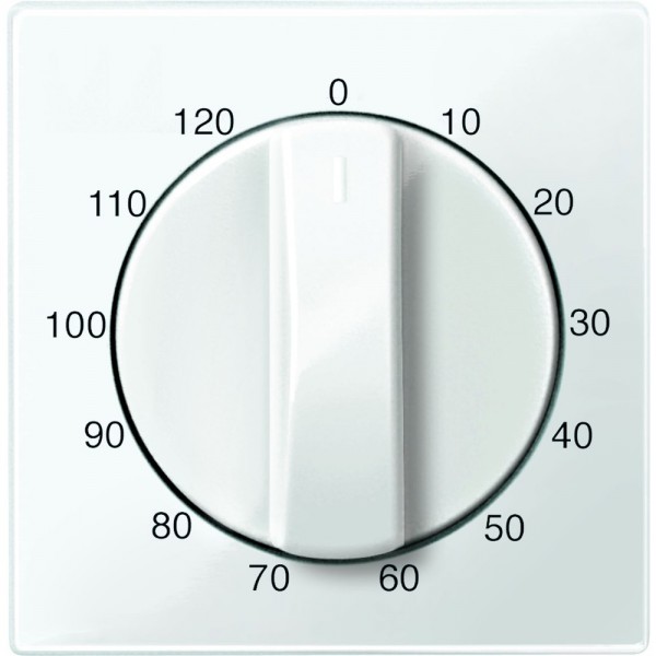 Merten 567519 Zentralplatte für Zeitschalter- Einsatz 120 min System M polarweiß glänzend