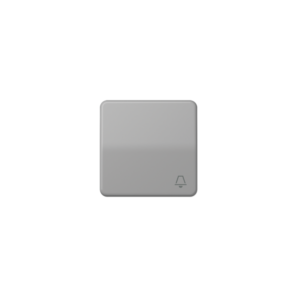 Jung CD590KGR Wippe mit Symbol "Klingel" grau