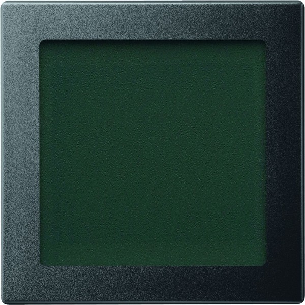Merten 587014 Zentralplatte mit Sichtfenster System M anthrazit edelmatt