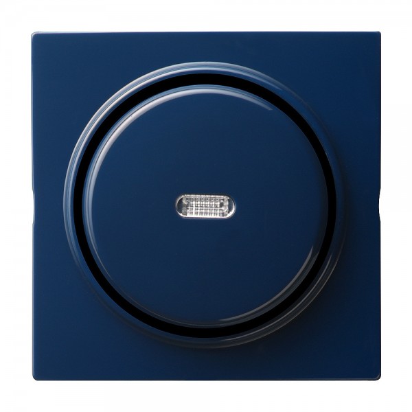 Gira 012246 Tast-Kontrollschalter Ausschalter S-Color Blau