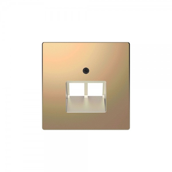 Merten MEG4522-6051 Zentralplatte für UAE-Einsatz 2-fach System Design champagnermetallic