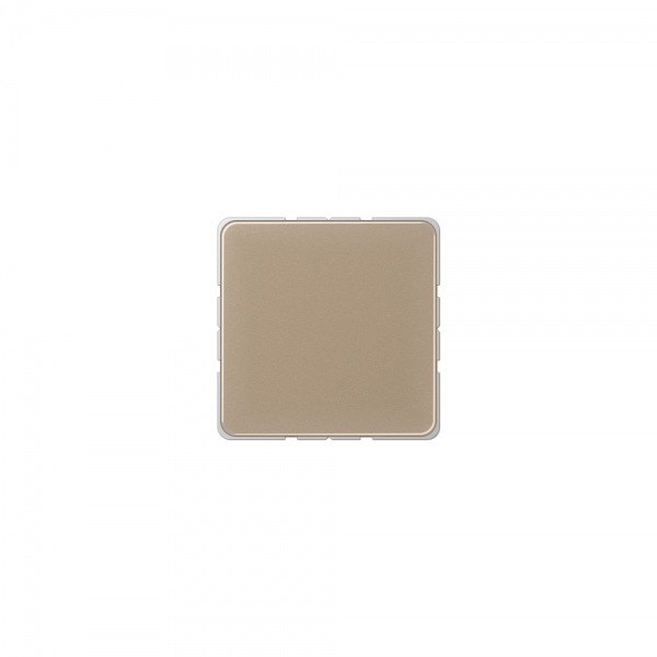 Jung CD594-0GB Blind-Abdeckung mit Tragring gold-bronze